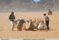 Beginnender Sandsturm Wadi Rum